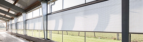 Two-panel opening curtain for ventilation in the dairy barn