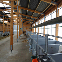 Lubratec Tube Air over empty cow boxes Tube Air just above empty metal cow boxes