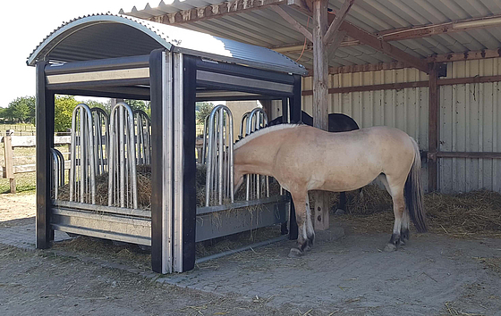 Two horses eat hay at the automatic feeding trough