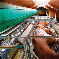 Lubratec Tube Cool above a milking station for cooling ventilation of the cows during the milking process